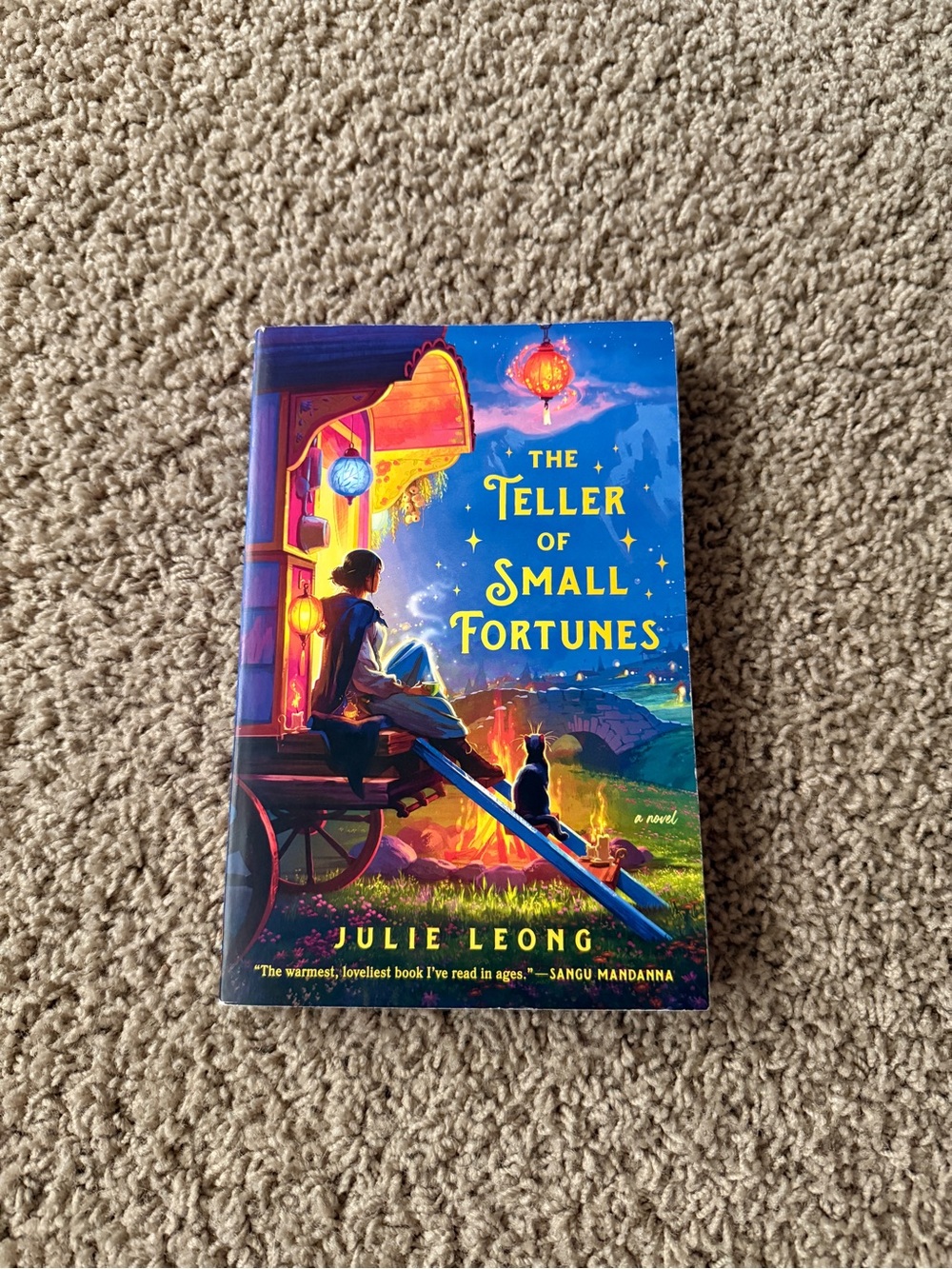 The Teller of Small Fortunes by Julie Leong Paperback Book